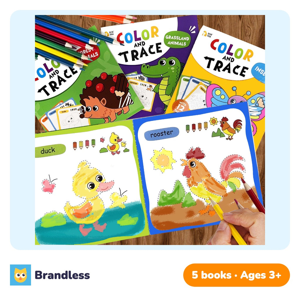 Five colour-and-trace animal drawing books for children