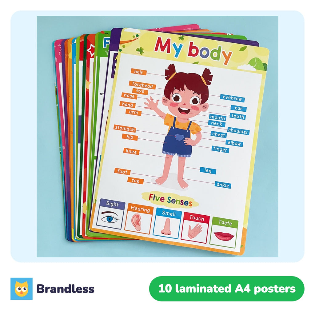 Fan of laminated A4 learning posters for kids with the My Body poster on top