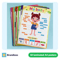 Fan of laminated A4 learning posters for kids with the My Body poster on top