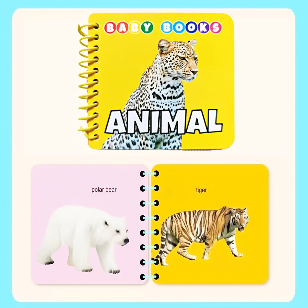 Picture Recognition Flash Card Books (4 Books) (photo 3)